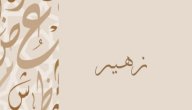 معنى اسم زهير صورة مقال معنى اسم زهير