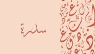 معنى اسم سدرة صورة مقال معنى اسم سدرة
