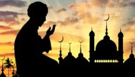 أين ولد عمر بن عبد العزيز أين ولد عمر بن عبد العزيز