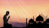 بحث عن زيد بن حارثة صورة مقال بحث عن زيد بن حارثة