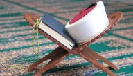 أين ولد الشيخ محمد متولي الشعراوي أين ولد الشيخ محمد متولي الشعراوي