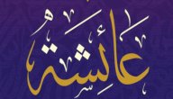 كيف ماتت عائشة أم المؤمنين صورة مقال كيف ماتت عائشة أم المؤمنين