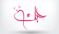 احبك رغم البعد صورة مقال احبك رغم البعد