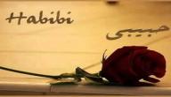 كلام عن حبيبي كلام عن حبيبي