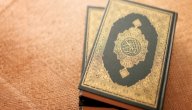 عيسى عليه السلام في القرآن صورة مقال عيسى عليه السلام في القرآن