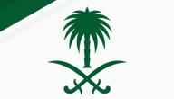 إلى ماذا ترمز النخلة في شعار المملكة العربية السعودية إلى ماذا ترمز النخلة في شعار المملكة العربية السعودية