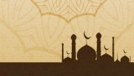 بحث عن يوسف عليه السلام صورة مقال بحث عن يوسف عليه السلام