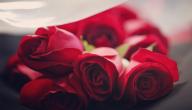 كلمات حب حلوه صورة مقال كلمات حب حلوه
