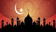 أين عاش سيدنا سليمان صورة مقال أين عاش سيدنا سليمان