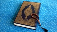 في أي سورة ذكر الذباب صورة مقال في أي سورة ذكر الذباب