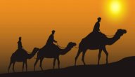 أين كانت رحلة الشتاء والصيف صورة مقال أين كانت رحلة الشتاء والصيف