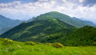 جبل الأخضر في ليبيا صورة مقال جبل الأخضر في ليبيا