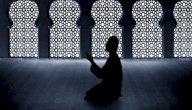 عمرو بن العاص صورة مقال عمرو بن العاص