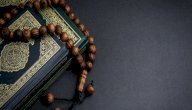 كل سورة وفائدتها صورة مقال كل سورة وفائدتها