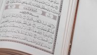كيف كان جمال سيدنا يوسف عليه السلام صورة مقال كيف كان جمال سيدنا يوسف عليه السلام