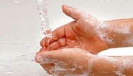 طرق الوقاية من دودة البقر الشريطية صورة مقال طرق الوقاية من دودة البقر الشريطية