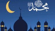 كيف تعامل الرسول مع المنافقين صورة مقال كيف تعامل الرسول مع المنافقين