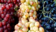 أنواع العنب صورة مقال أنواع العنب