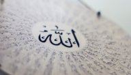 أحكام لفظ الجلالة صورة مقال أحكام لفظ الجلالة