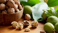 أنواع الجوز صورة مقال أنواع الجوز