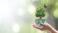 بحث حول المحافظة على البيئة صورة مقال بحث حول المحافظة على البيئة