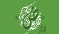 أقوال في اللغة العربية صورة مقال أقوال في اللغة العربية