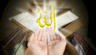 أساليب الدعوة إلى الله صورة مقال أساليب الدعوة إلى الله