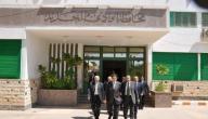 محافظة الوادي الجديد صورة مقال محافظة الوادي الجديد