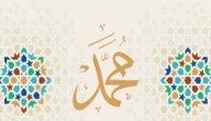 في أي عام ولد الرسول صورة مقال في أي عام ولد الرسول