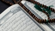 سبب نزول سورة الملك صورة مقال سبب نزول سورة الملك