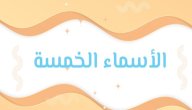 شروط إعراب الأسماء الخمسة صورة مقال شروط إعراب الأسماء الخمسة