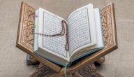 كم عدد السور المكية والمدنية صورة مقال كم عدد السور المكية والمدنية