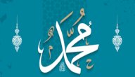 كم كان عمر الرسول عندما نزل عليه الوحي صورة مقال كم كان عمر الرسول عندما نزل عليه الوحي