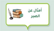 أمثال عن الصبر صورة مقال أمثال عن الصبر