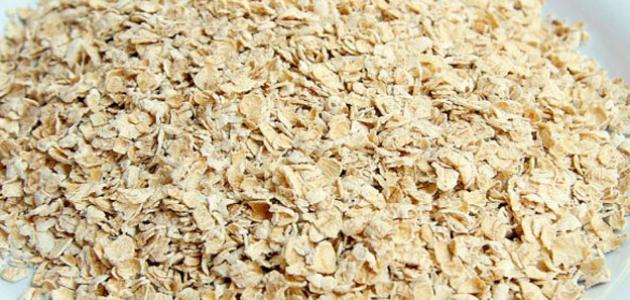 ÙØªÙØ¬Ø© Ø¨Ø­Ø« Ø§ÙØµÙØ± Ø¹Ù ÙÙØ§Ø¦Ø¯ Ø§ÙØ´ÙÙØ§Ù