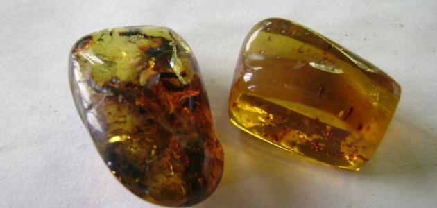 فوائد العنبر ومشتقاته