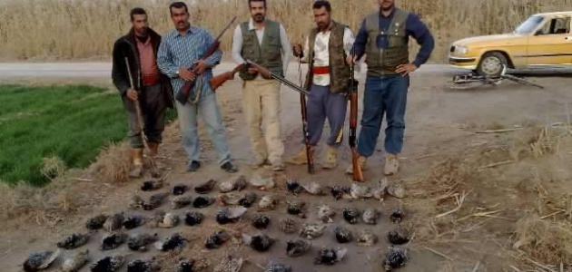 الصيد في العراق الصيد في العراق