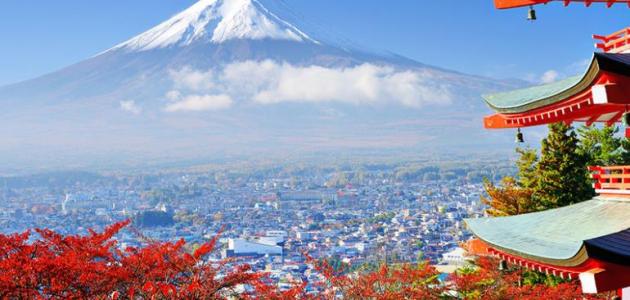 ������� ���� �����