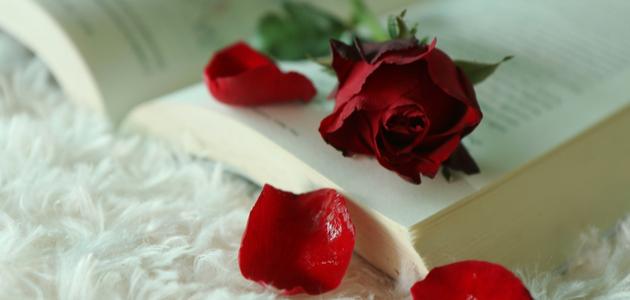 خواطر عتاب الحبيب خواطر عتاب الحبيب