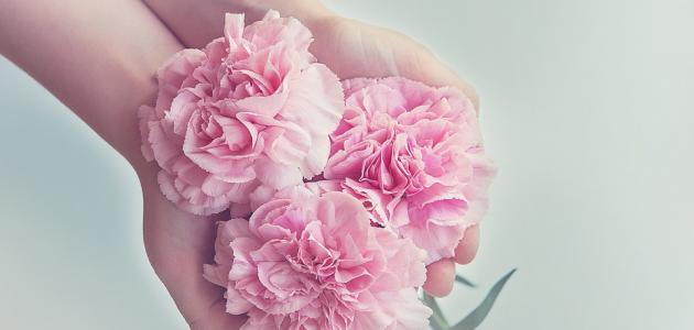 قوة الحب والتسامح ظ‚ظˆط©_ط§ظ„طط¨_ظˆط§ظ„طھط³ط§ظ…ط.jpg