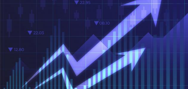 مقومات الاقتصاد بصفة عامة مقومات الاقتصاد بصفة عامة