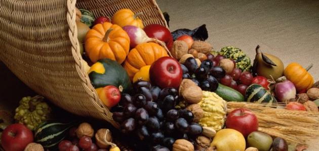 ���� ���� ������ �� ���� ������