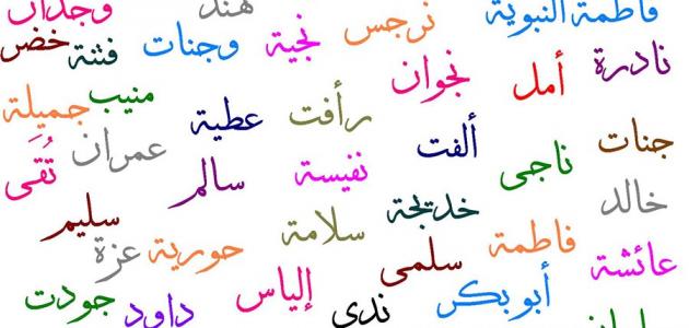 ������ ����� ��� ������ �������� 