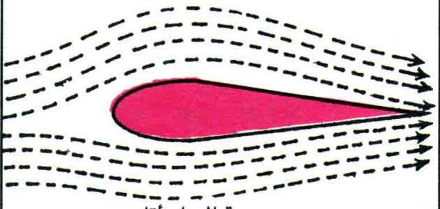 Equation of Bernoulli liquids