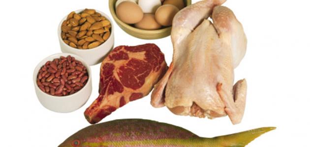 نظام غذائي البروتين