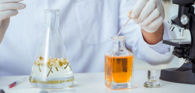 Développements dans l’industrie du parfum