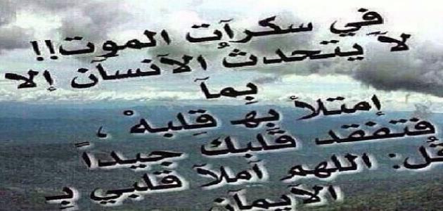 ظ…ط§_ظ‡%