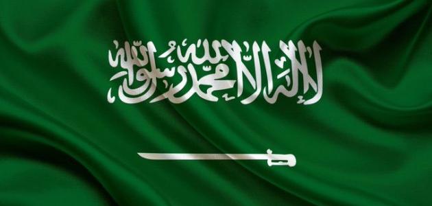 مدينة سياحية في السعودية مدينة سياحية في السعودية