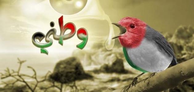 ��� �� ����� 