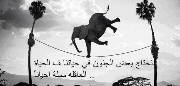 ���� ���� ������ �� ���� ������